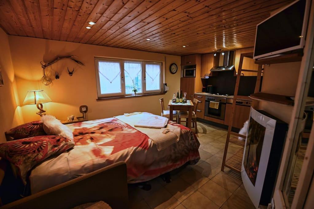 Appartamento Les Chouchous Du Ried 3 / Proche Europapark Saasenheim Esterno foto